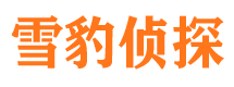 桂东侦探调查公司